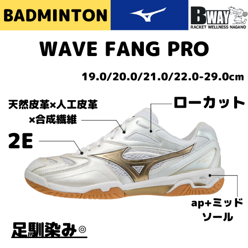 ミズノ ウェーブファングプロ 23.5 バドミントンシューズ WAVE