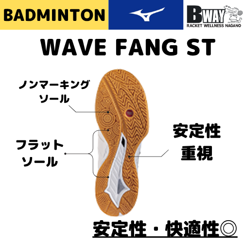 MIZUNO ウェーブファングST WAVE FANG ST 71GA2563 BDSS限定品 – BWAY MIZUNO ウェーブファングST WAVE FANG ST 71GA2563 BDSS限定品 – BWAY