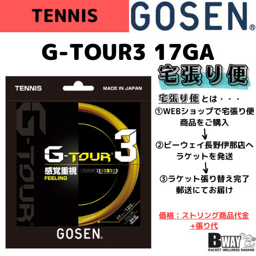 宅張り便　GOSEN　G-TOUR3　17GA（Ｇ-ツアー３　17GA）